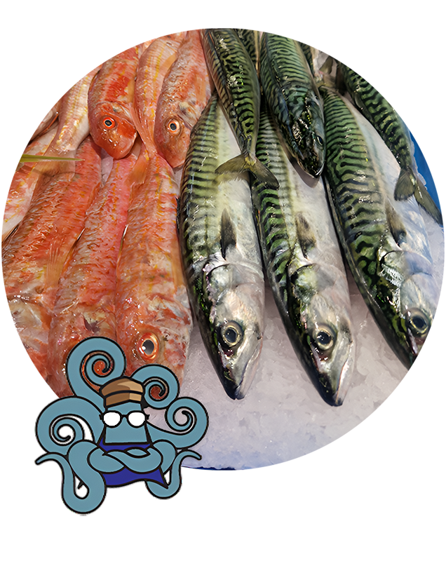 Poissonnerie à Loctudy