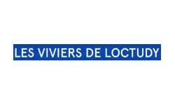 Langoustines à Loctudy 