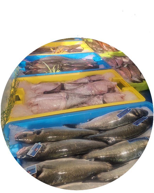 Vente de poissons près de Pont-l'Abbé