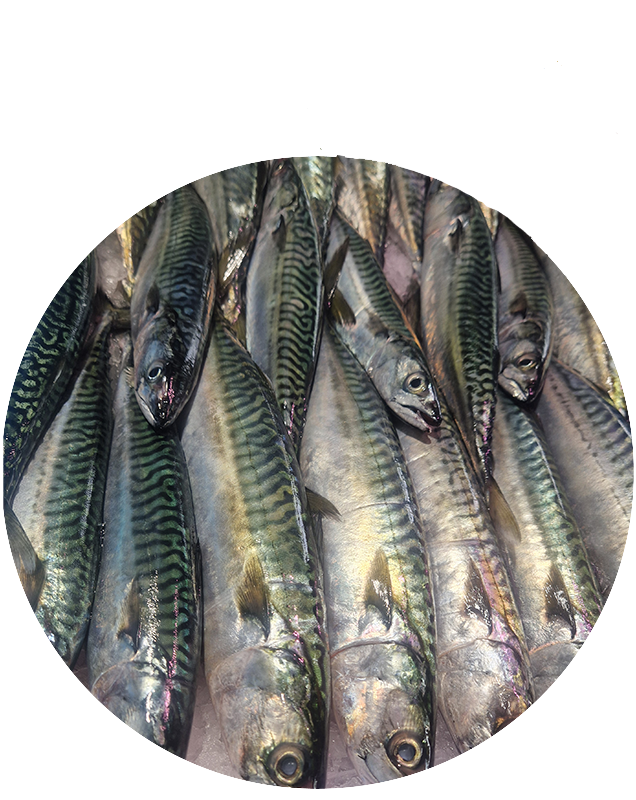 Poissonnerie près de Pont-l'Abbé