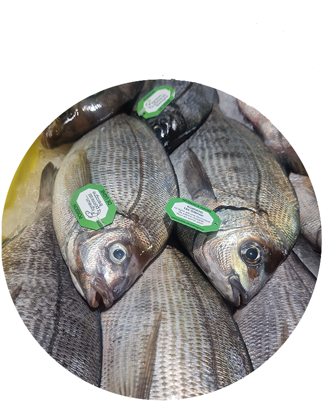 Vente de poisson frais près de Pont-l'Abbé