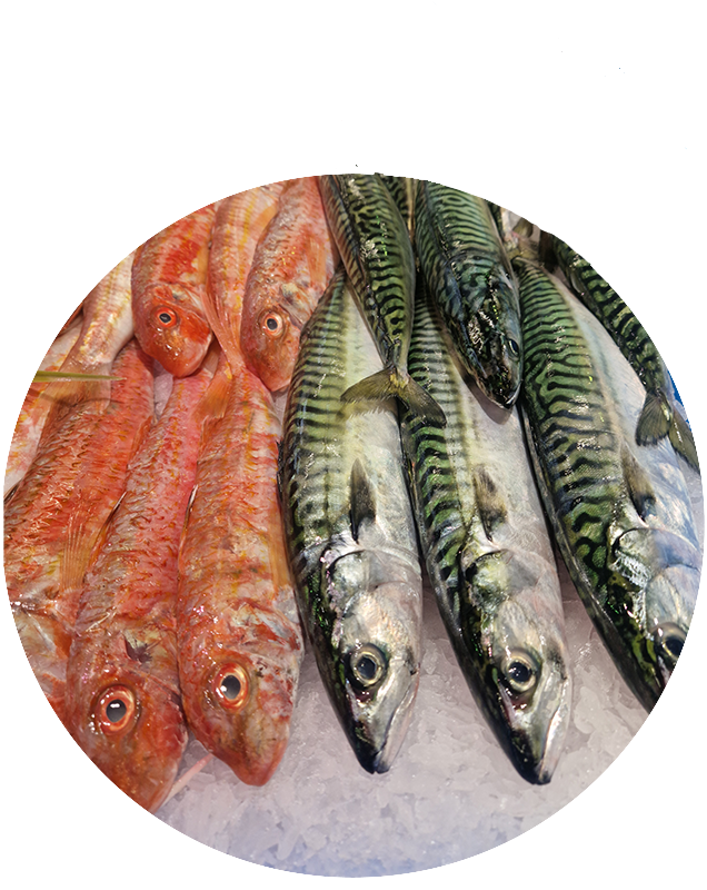 Vente de filets de poisson près de Pont-l'Abbé